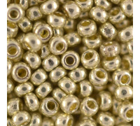 Бисер Preciosa №10/0 серебряный (18303-10/0-1с) металлизированный 50 гр.